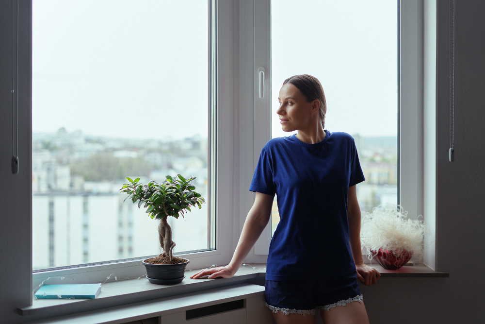 Glenwood Springs Window Styles